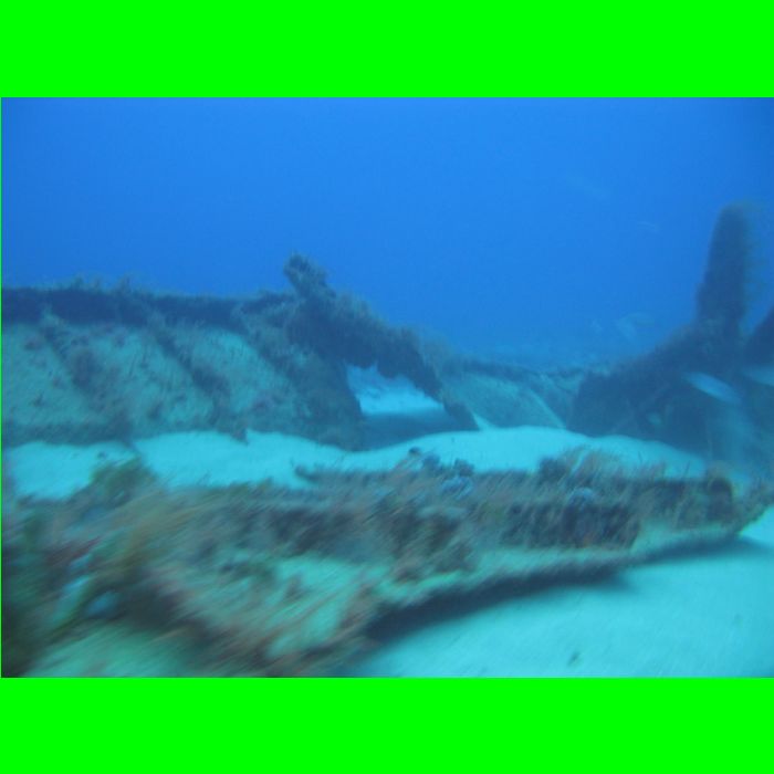 Dive WP Wrecks 25-Oct-09_246.JPG